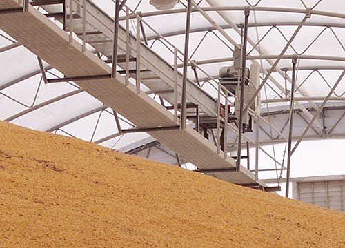 En Masse Chain Conveyor (3)