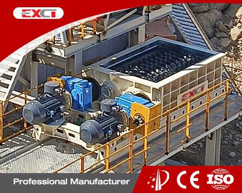 Double Teeth Roll Crusher factory